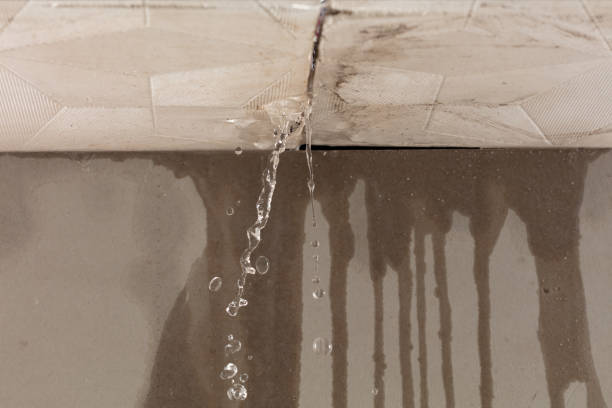 Professional Flood Damage Cleanup technician working in Dayton, MD